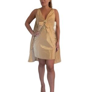 Juan Carlos Pinera Dress